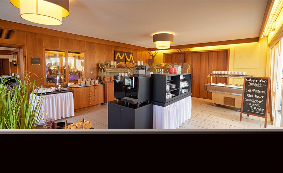 WALDHOTEL BÄRENSTEIN Horn-Bad Meinberg