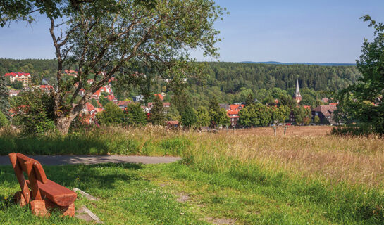 HOTEL ALTES FORSTHAUS Braunlage