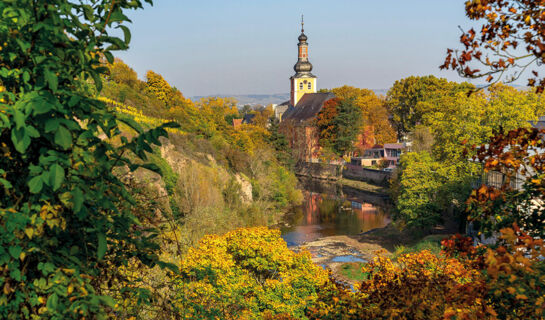 LANDHOTEL NIEDERTHÄLER HOF Schloßböckelheim