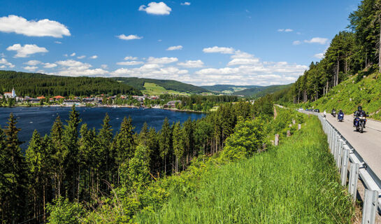 HOTEL WALDECK MIT RESTAURANT FLORIAN'S Feldberg-Altglashütten