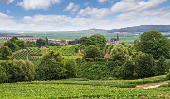 LA TOUR DU ROY Vervins