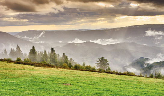 VITAL- UND WELLNESSHOTEL ALBBLICK Waldachtal