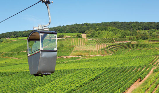 AKZENT WALDHOTEL RHEINGAU Geisenheim