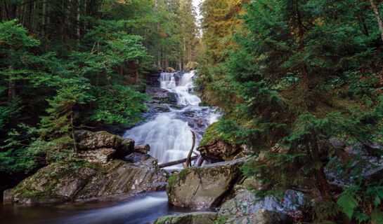 MAIERS HOTEL-RESORT Bayerisch Eisenstein
