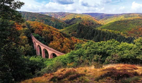 LANDGASTHAUS ALTER POSTHOF (B&B) Halsenbach