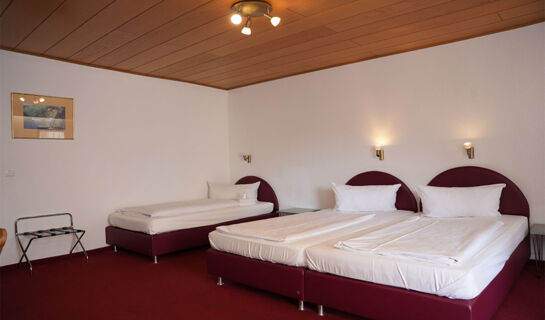 RHEINHOTEL RÜDESHEIM Rüdesheim am Rhein