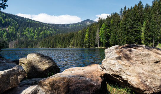 AKZENT WELLNESSHOTEL BAYERWALD-RESIDENZ Neukirchen