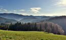 HOTEL-RESTAURANT KOHLENBACHER HOF Waldkirch