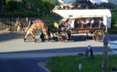 HOTEL ZUM GRÜNDLE Oberhof