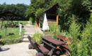 HOTEL HARZRESIDENZ (B&B) Thale