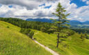 POST HOTEL MITTENWALD Mittenwald