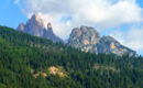 HOTEL FIOR DI BOSCO Giovo