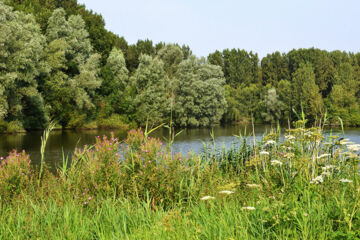 FLETCHER HOTEL-RESORT SPAARNWOUDE Velsen-Zuid