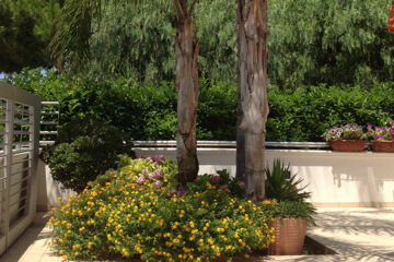 HOTEL CORALLO (B&B) Carovigno