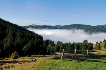 BREGGERS SCHWANEN Bernau