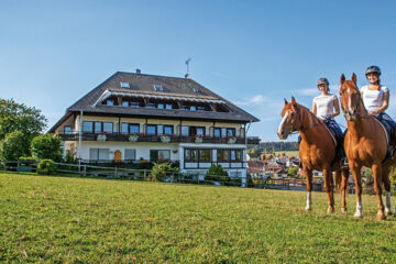 LANDGASTHOF PFERDEKOPPEL  (B&B) Besenfeld