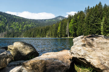 LANDGASTHOF ZUR ALTEN POST (B&B) Regen/March