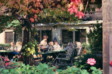 LANDHOTEL NIEDERTHÄLER HOF Schloßböckelheim