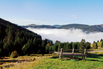 HOTEL WALDECK MIT RESTAURANT FLORIAN'S Feldberg-Altglashütten