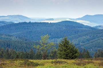 HOTEL SCHNEIDER (B&B) Winterberg