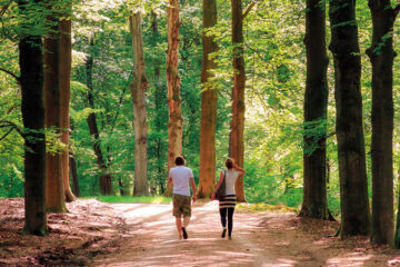 FLETCHER HOTEL-RESTAURANT HET VELUWSE BOS Beekbergen