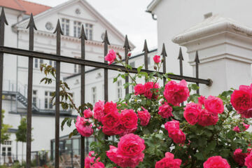 HOTEL AM SCHLOSSPARK Putbus