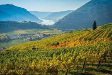 RESIDENZ WACHAU Aggsbach Dorf