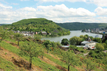 PARK VILLA BAD SALZIG (B&B) Boppard