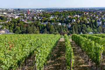 MERCURE HOTEL NEU-ISENBURG (B&B) Neu-Isenburg