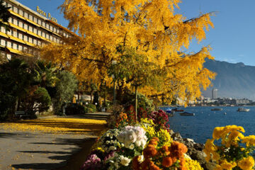 HÔTEL ROYAL PLAZA MONTREUX (B&B) Montreux