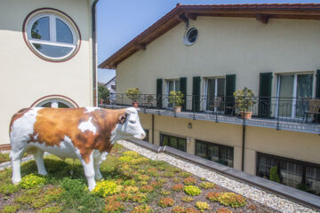 HOTEL RESTAURANT ZUM OCHSEN (B&B) Schallstadt