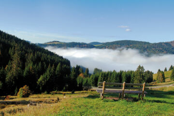 CHALET MOOS (B&B) Todtmoos