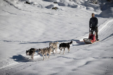 HÜTTENHOTEL HUSKY-LODGE (B&B) Muotathal