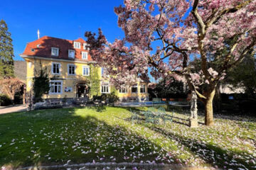 HÔTEL DU PARC Thann