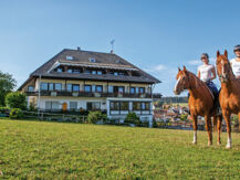 LANDGASTHOF PFERDEKOPPEL  (B&B) Besenfeld