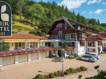 HÄFNER´S FLAIR HOTEL ADLERBAD Bad Peterstal