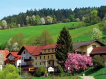 HOTEL GASTHOF ZUR KRONE Oberzent
